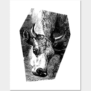 Cow Portrait Ink Drawing Posters and Art